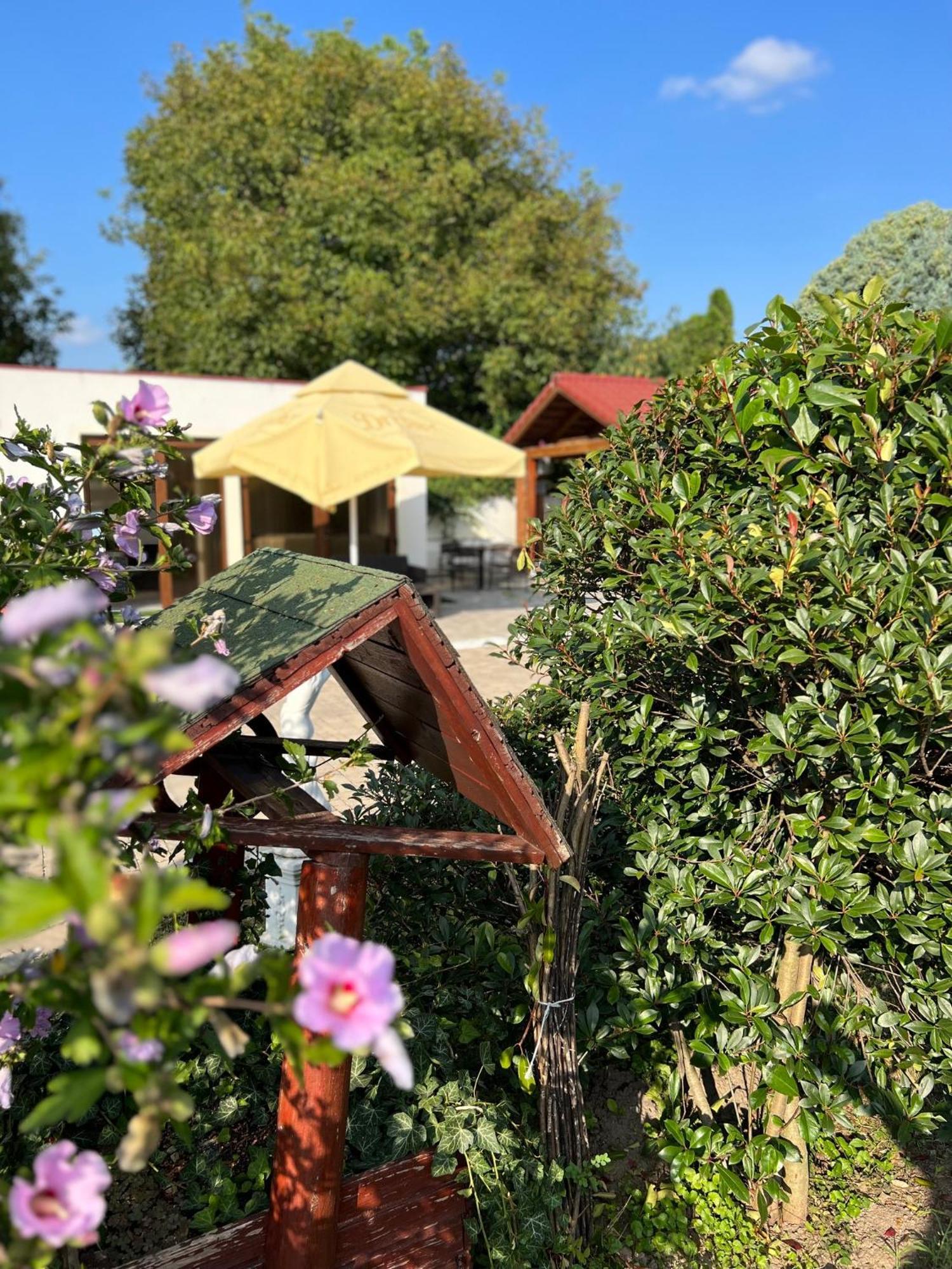 Bajor Panzió Bük-Bükfürdő, Adults Only 12plus Buk Exterior foto